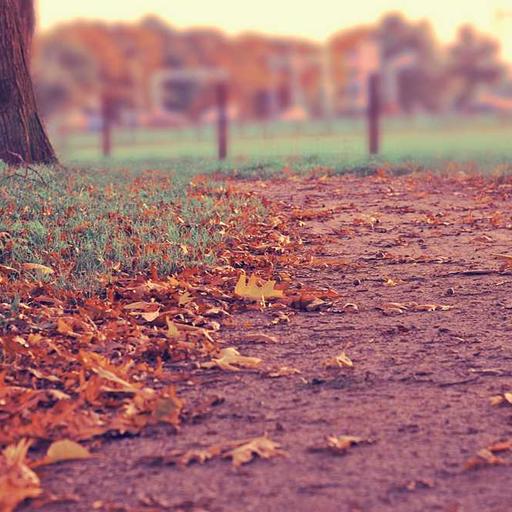 Trik Membangun Reputasi Positif di Lingkungan Kerja